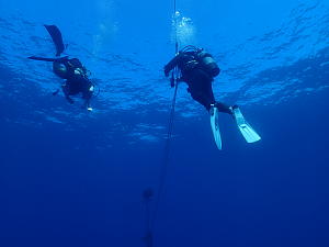 体験ダイビングの沈船ツアー　潜行の写真