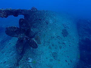 海底に沈む、大迫力の沈船の写真