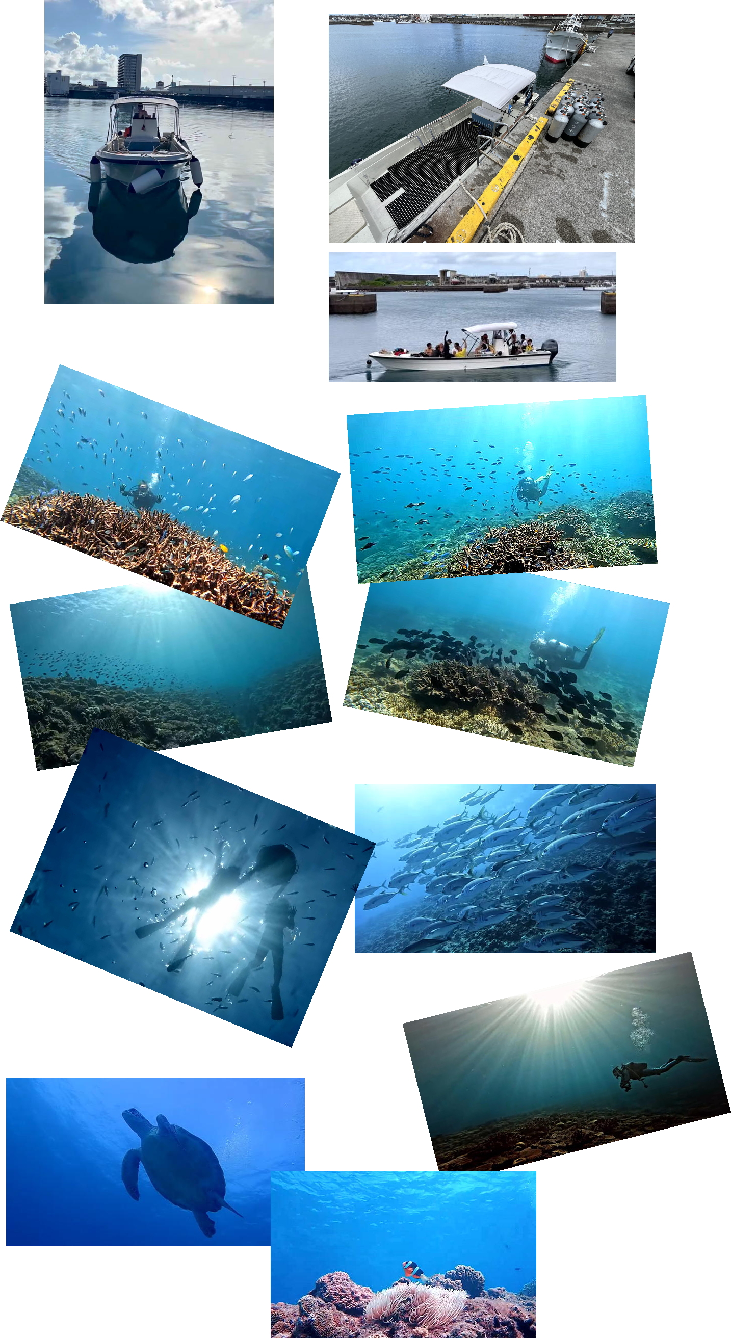 �X��p�E�Y�Y�E�k�J�ł̏捇�D�ōs���{�[�g�|�C���g�ł̗l�q