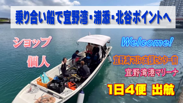 ��荇���D�ŁA�X��p�E�Y�Y�E�k�J�Ȃǂ̃|�C���g�փ_�C�r���O��V���m�[�P�����O���\�B�V���b�v�l�ł��l�l�ł������p�\�B